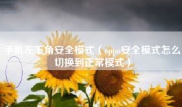 手机左下角安全模式（oppo安全模式怎么切换到正常模式）