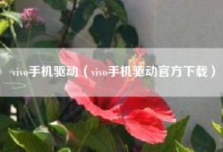 vivo手机驱动（vivo手机驱动官方下载）