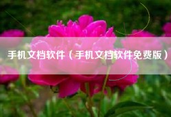 手机文档软件（手机文档软件免费版）
