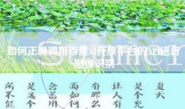 如何正确调用百度AI开放平台的API进行图像识别