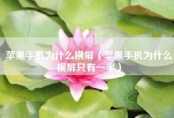 苹果手机为什么横屏（苹果手机为什么横屏只有一半）