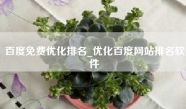 百度免费优化排名_优化百度网站排名软件