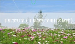 手机学打字（手机学打字用什么软件）