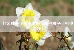 什么牌子手机电池好（哪些牌子手机电池好）