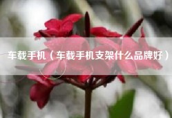 车载手机（车载手机支架什么品牌好）
