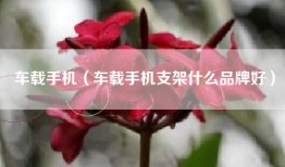 车载手机（车载手机支架什么品牌好）
