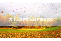 为什么选择彼亿品牌整合营销