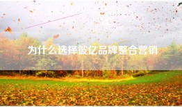 为什么选择彼亿品牌整合营销
