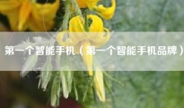 第一个智能手机（第一个智能手机品牌）