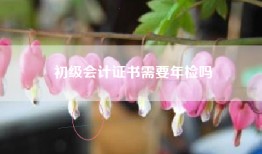 初级会计证书需要年检吗