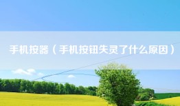 手机按器（手机按钮失灵了什么原因）