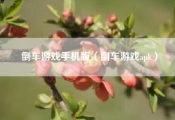 倒车游戏手机版（倒车游戏apk）