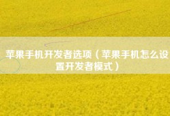 苹果手机开发者选项（苹果手机怎么设置开发者模式）