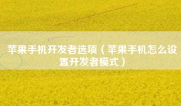 苹果手机开发者选项（苹果手机怎么设置开发者模式）