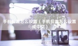 手机位置怎么设置（手机位置怎么设置成中文）