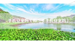 手机安全吗（用二手手机安全吗）