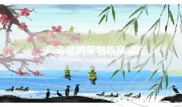 广告营销策划方案5篇
