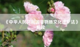 《中华人民共和国非物质文化遗产法》解读