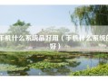 手机什么系统最好用（手机什么系统的好）