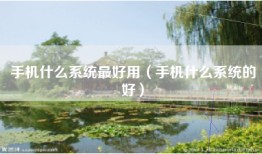 手机什么系统最好用（手机什么系统的好）