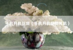 手机开机花屏（手机开机花屏死机）