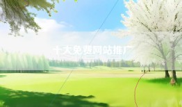 十大免费网站推广