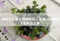 手机怎么看无线网密码（家里wifi密码忘了手机怎么查）
