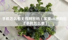手机怎么看无线网密码(家里wifi密码忘了手机怎么查)