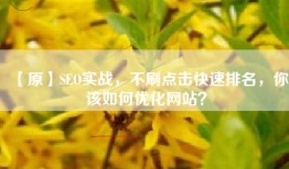 【原】SEO实战，不刷点击快速排名，你该如何优化网站？