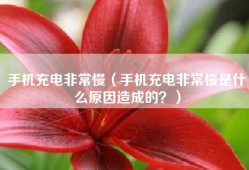 手机充电非常慢（手机充电非常慢是什么原因造成的？）