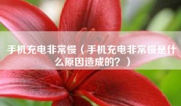 手机充电非常慢（手机充电非常慢是什么原因造成的？）