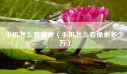 手机怎么看像素（手机怎么看像素多少万）