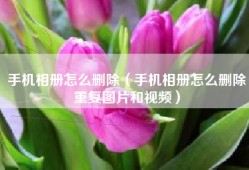 手机相册怎么删除（手机相册怎么删除重复图片和视频）