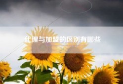 代理与加盟的区别有哪些