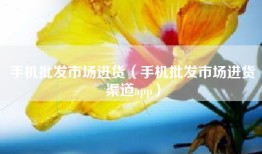手机批发市场进货（手机批发市场进货渠道app）