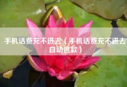 手机话费充不进去（手机话费充不进去自动退款）