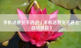 手机话费充不进去（手机话费充不进去自动退款）