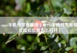 oppo手机开发者模式（OPPO手机开发者模式虚拟位置怎么打开）