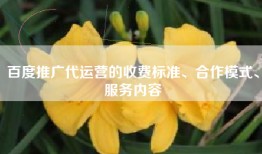 百度推广代运营的收费标准、合作模式、服务内容