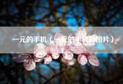 一元的手机（一元的手机的图片）