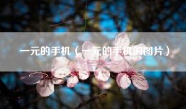 一元的手机（一元的手机的图片）