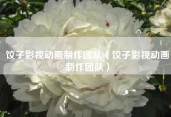 饺子影视动画制作团队（饺子影视动画制作团队）