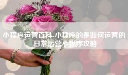 小程序运营百科-小程序的是如何运营的 日常运营小程序攻略