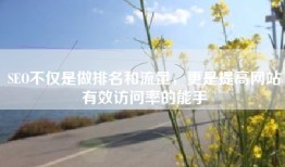 SEO不仅是做排名和流量，更是提高网站有效访问率的能手