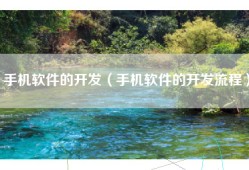 手机软件的开发（手机软件的开发流程）