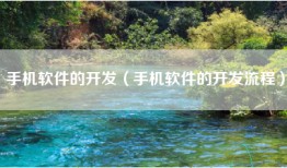 手机软件的开发（手机软件的开发流程）