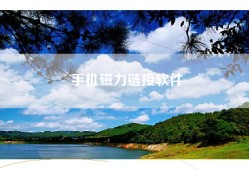 手机磁力链接软件