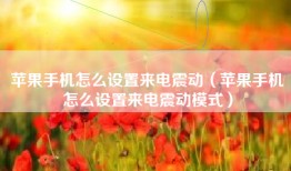 苹果手机怎么设置来电震动（苹果手机怎么设置来电震动模式）