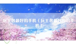 玩王者最好的手机（玩王者最好用的手机）