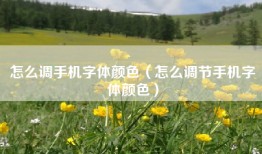 怎么调手机字体颜色（怎么调节手机字体颜色）